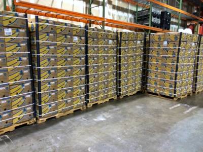 36,000 pounds of bananas await distribution at Loaves and Fishes warehouse.