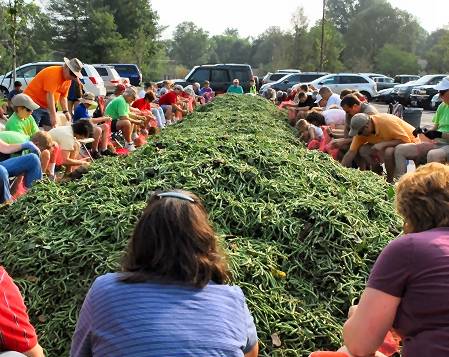 Volunteers bagging green beans.