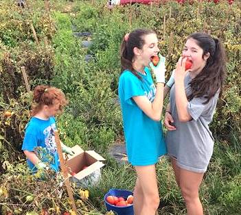 Girls eating tomatoes