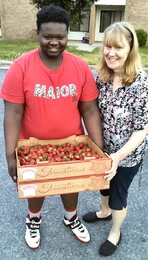 Strawberries in Thomasville