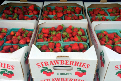 Strawberries in Cartons