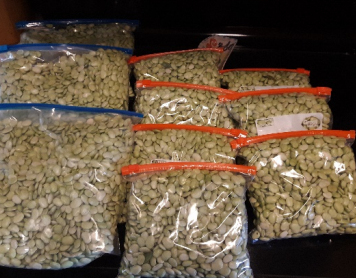 Fresh Lima Beans in 1 Pound and 3 Pound Bags