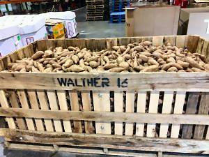 Potatoes from Walther Farm