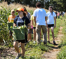 Gleaning with Harvest of Hope