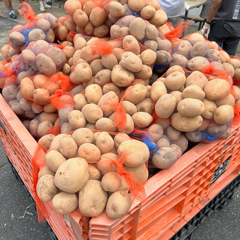 potato product project img